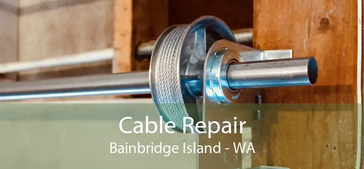Cable Repair Bainbridge Island - WA