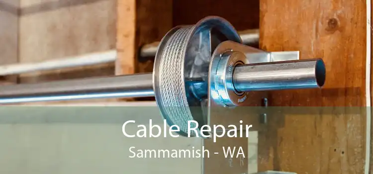 Cable Repair Sammamish - WA