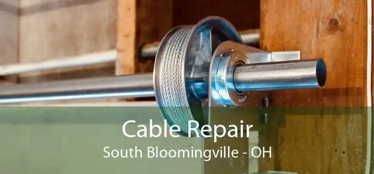 Cable Repair South Bloomingville - OH