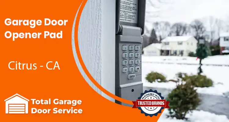 Opener Pad Citrus - CA