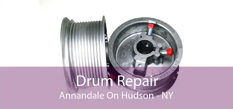 Drum Repair Annandale On Hudson - NY