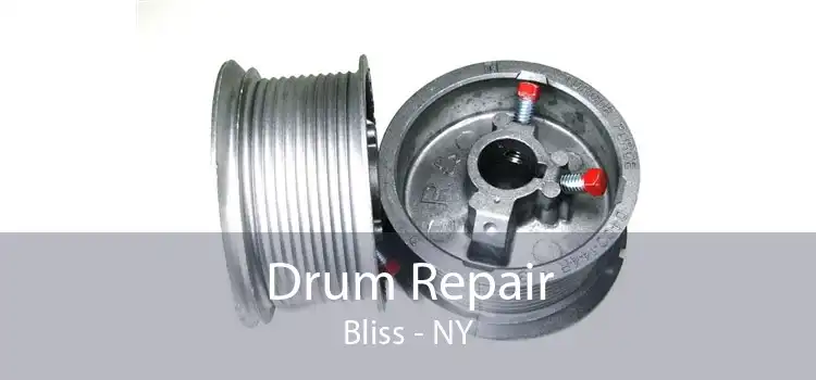 Drum Repair Bliss - NY