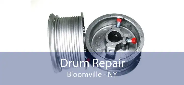 Drum Repair Bloomville - NY