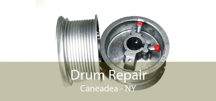 Drum Repair Caneadea - NY