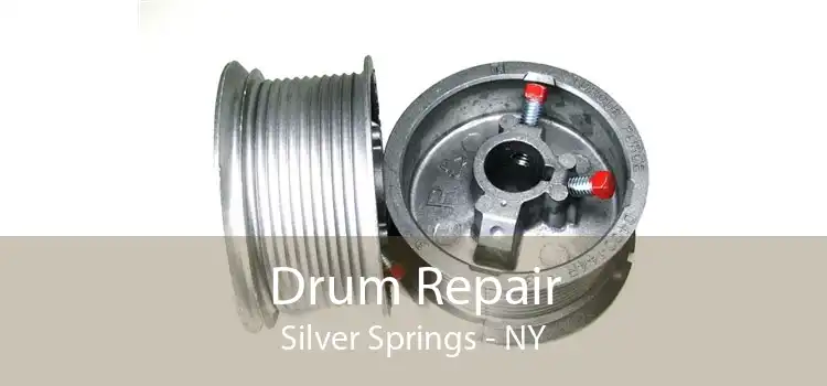 Drum Repair Silver Springs - NY