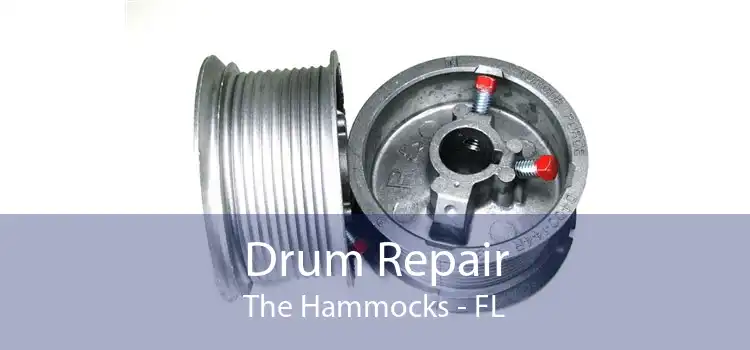 Drum Repair The Hammocks - FL