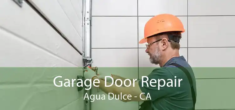 Garage Door Repair Agua Dulce - CA