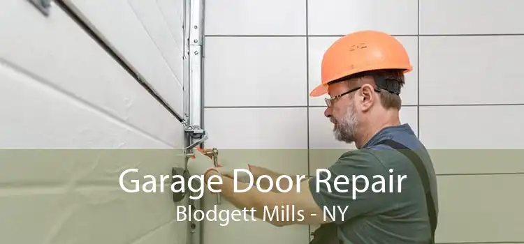 Garage Door Repair Blodgett Mills - NY