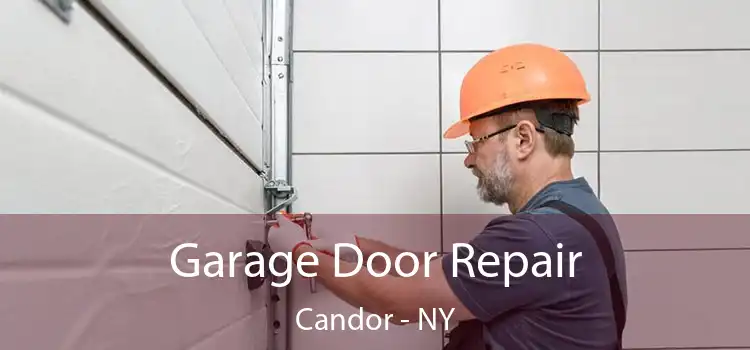 Garage Door Repair Candor - NY