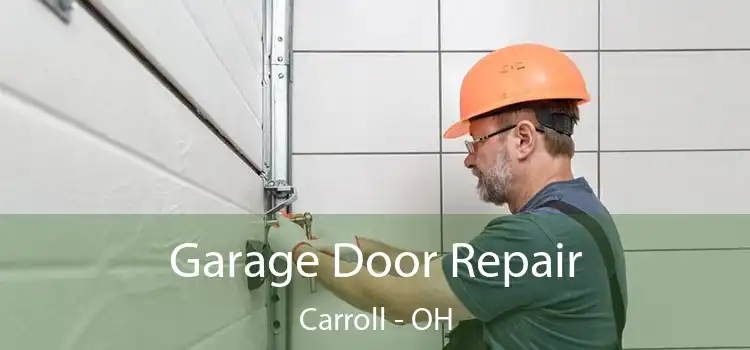  Garage Door Repair Carroll - OH
