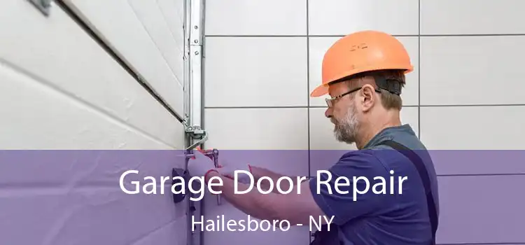  Garage Door Repair Hailesboro - NY