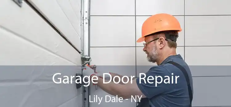  Garage Door Repair Lily Dale - NY