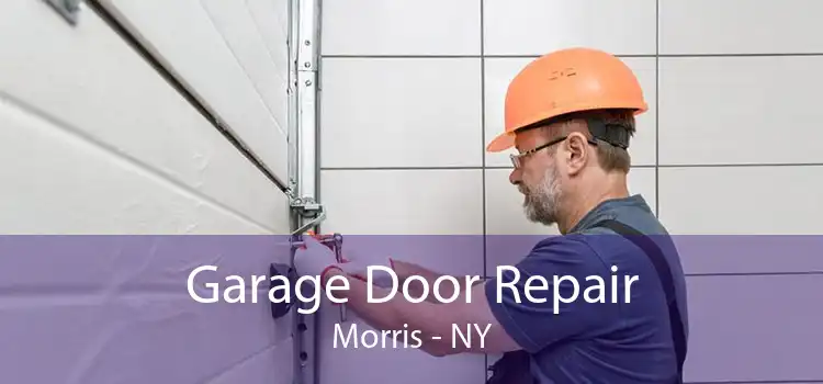 Garage Door Repair Morris - NY