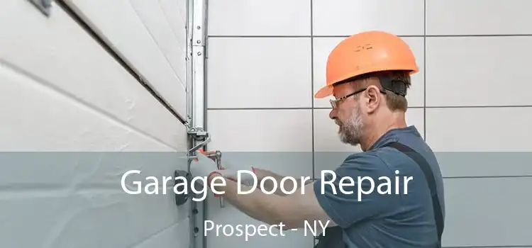  Garage Door Repair Prospect - NY