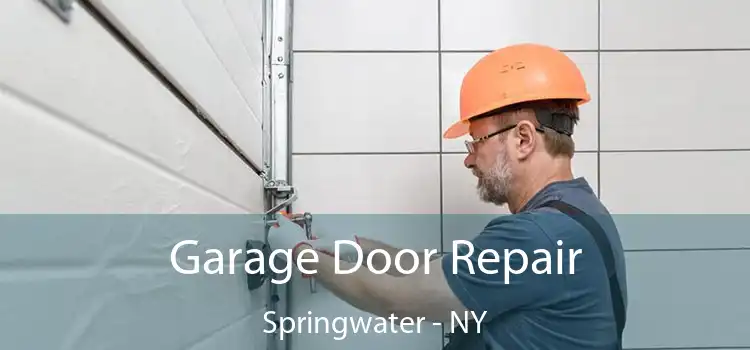 Garage Door Repair Springwater - NY