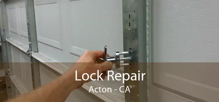 Lock Repair Acton - CA