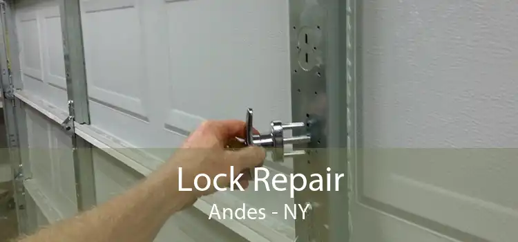Lock Repair Andes - NY