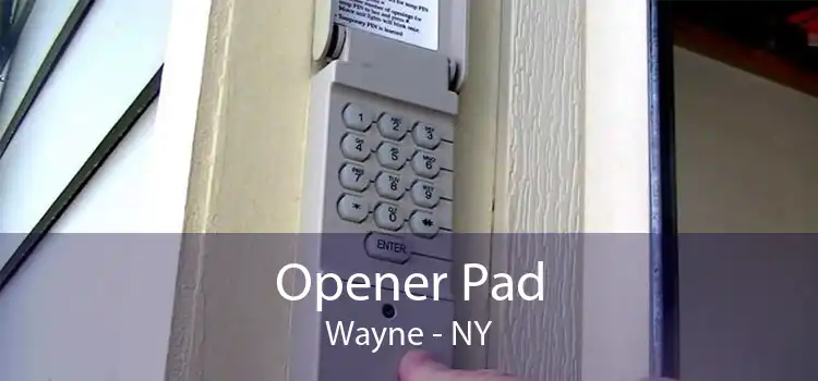 Opener Pad Wayne - NY