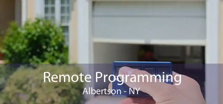 Remote Programming Albertson - NY
