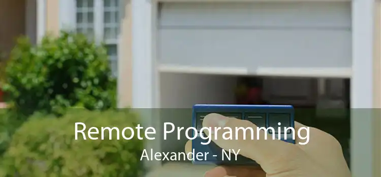Remote Programming Alexander - NY