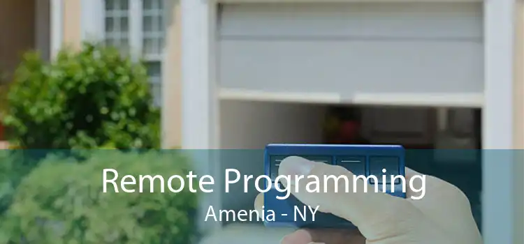 Remote Programming Amenia - NY