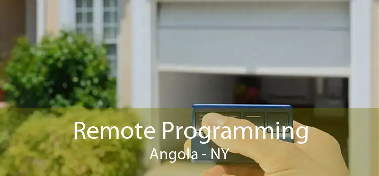 Remote Programming Angola - NY