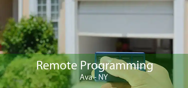 Remote Programming Ava - NY