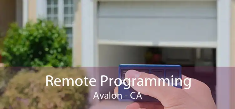 Remote Programming Avalon - CA