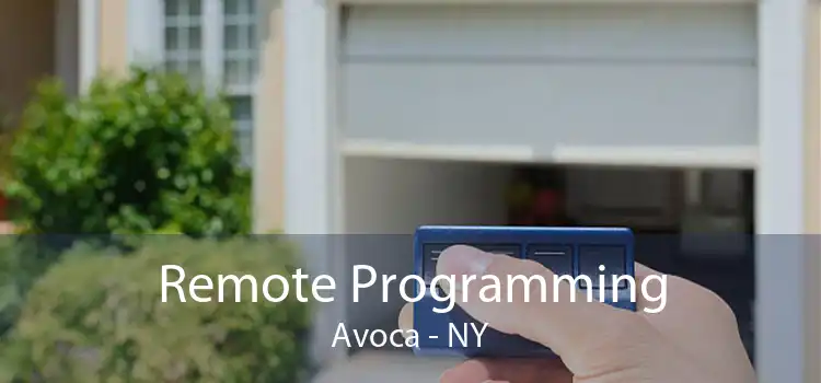 Remote Programming Avoca - NY