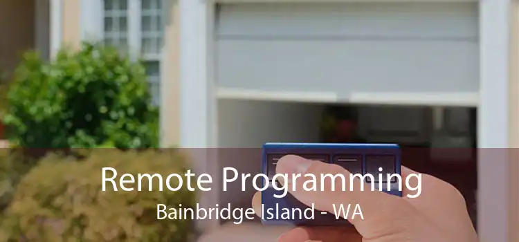 Remote Programming Bainbridge Island - WA
