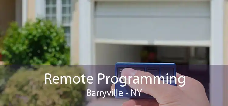 Remote Programming Barryville - NY