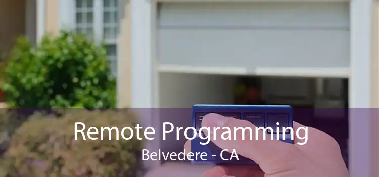 Remote Programming Belvedere - CA