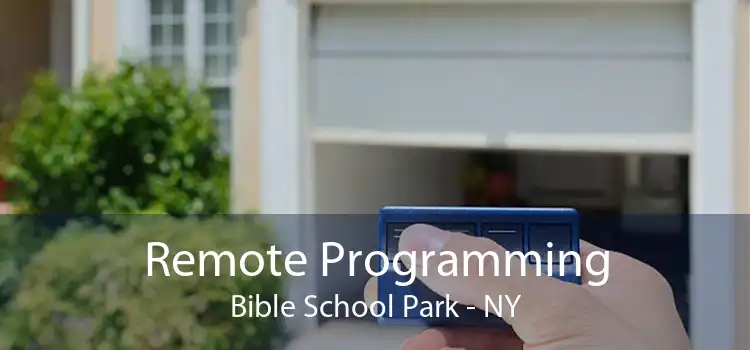 Remote Programming Bible School Park - NY