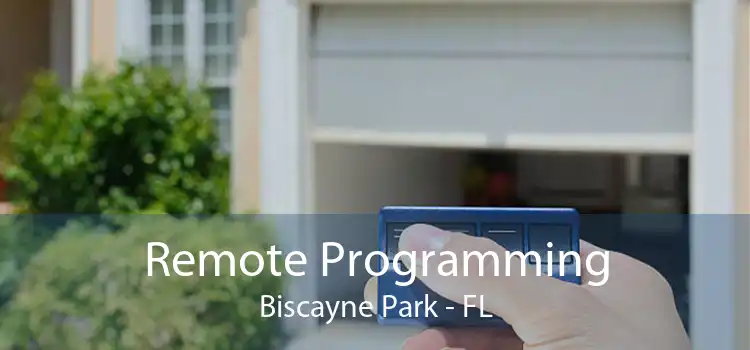 Remote Programming Biscayne Park - FL