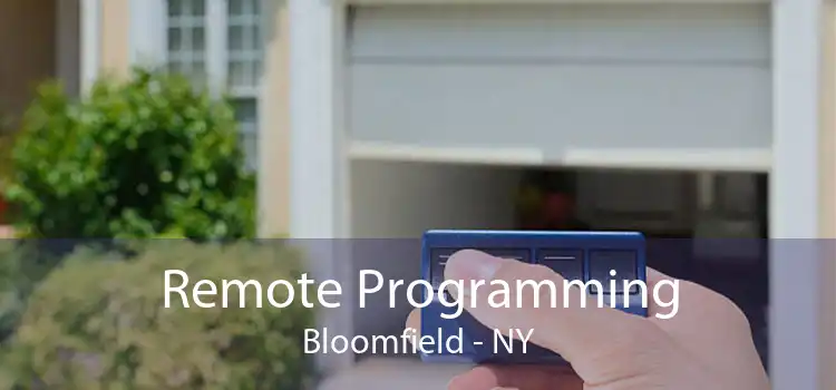 Remote Programming Bloomfield - NY