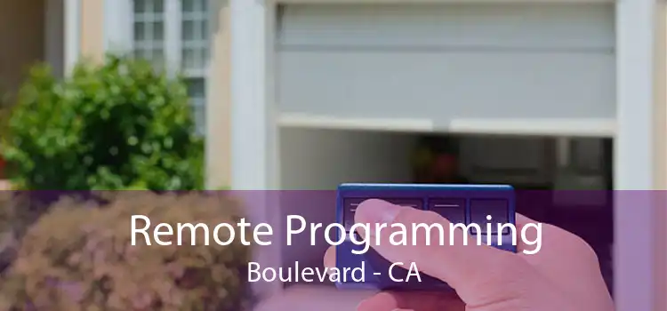 Remote Programming Boulevard - CA