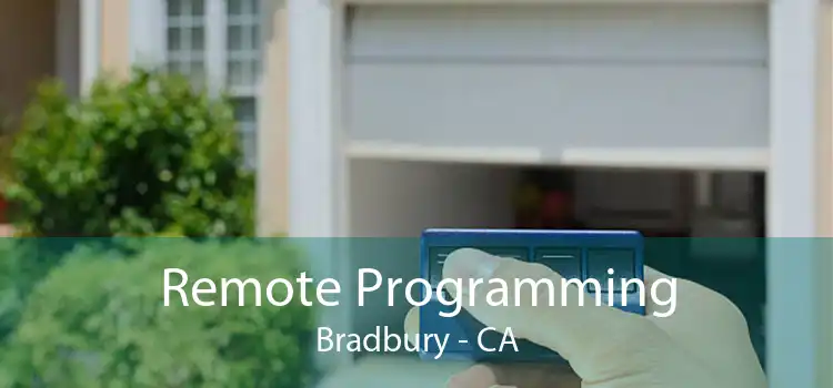 Remote Programming Bradbury - CA