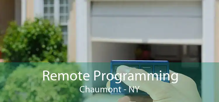 Remote Programming Chaumont - NY