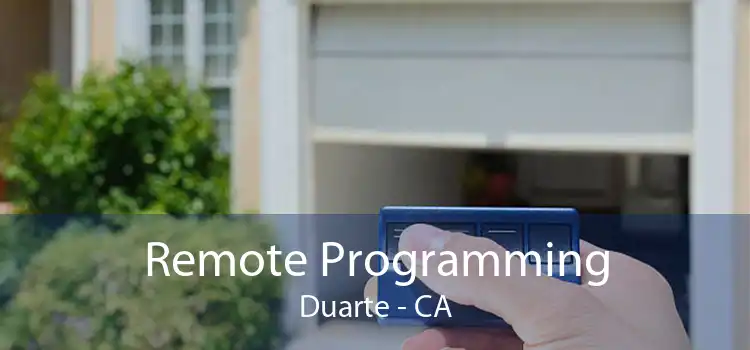 Remote Programming Duarte - CA