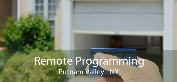 Remote Programming Putnam Valley - NY