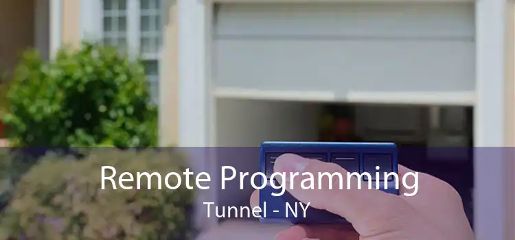 Remote Programming Tunnel - NY