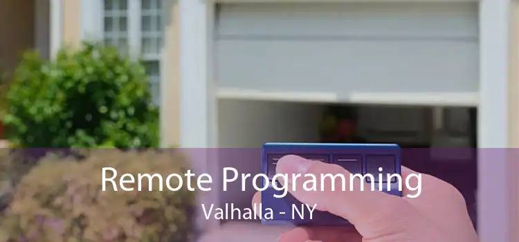 Remote Programming Valhalla - NY