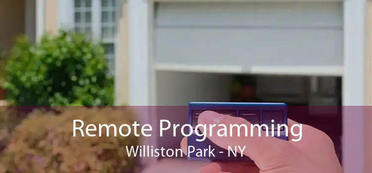 Remote Programming Williston Park - NY