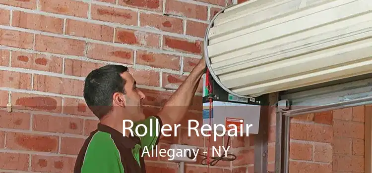 Roller Repair Allegany - NY