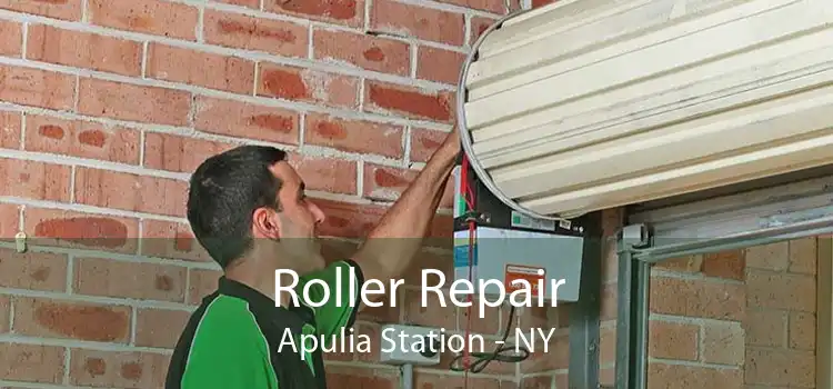 Roller Repair Apulia Station - NY