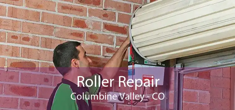 Roller Repair Columbine Valley - CO
