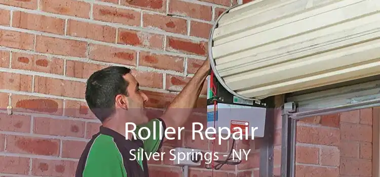 Roller Repair Silver Springs - NY