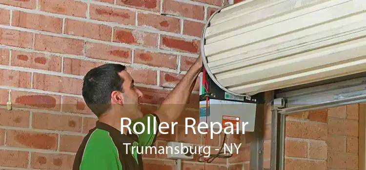Roller Repair Trumansburg - NY