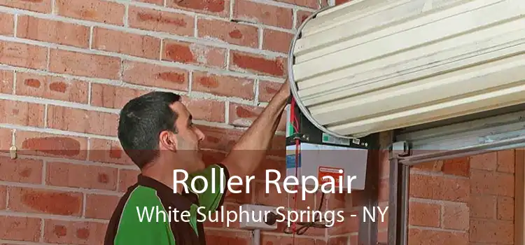 Roller Repair White Sulphur Springs - NY