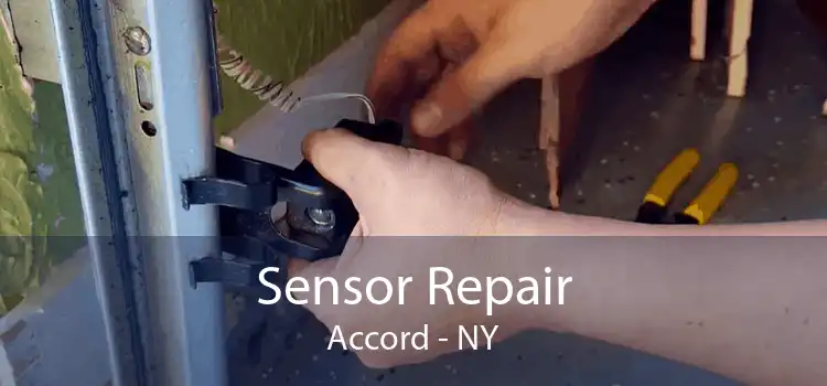 Sensor Repair Accord - NY